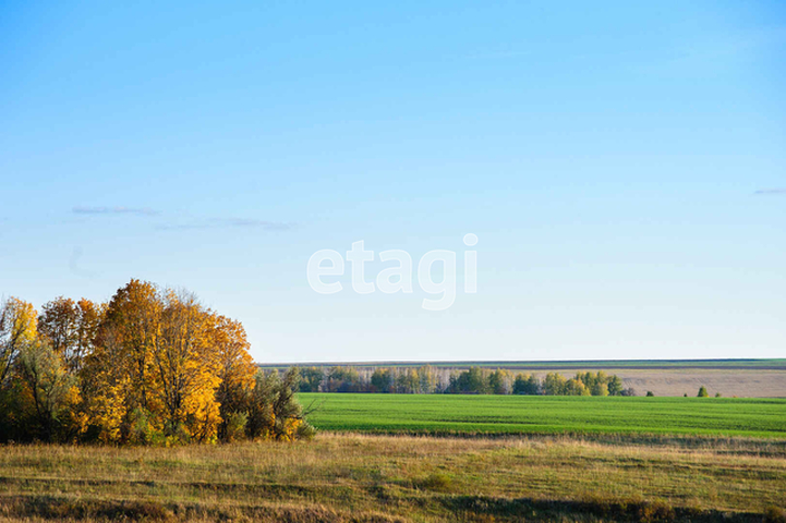 Продажа коммерческой недвижимости, 500м <sup>2</sup>, Саратов, Саратовская область,  Красный Кут