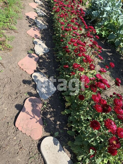 Продажа дачи, 65м <sup>2</sup>, 14 сот., Саратов, Саратовская область,  Энгельс