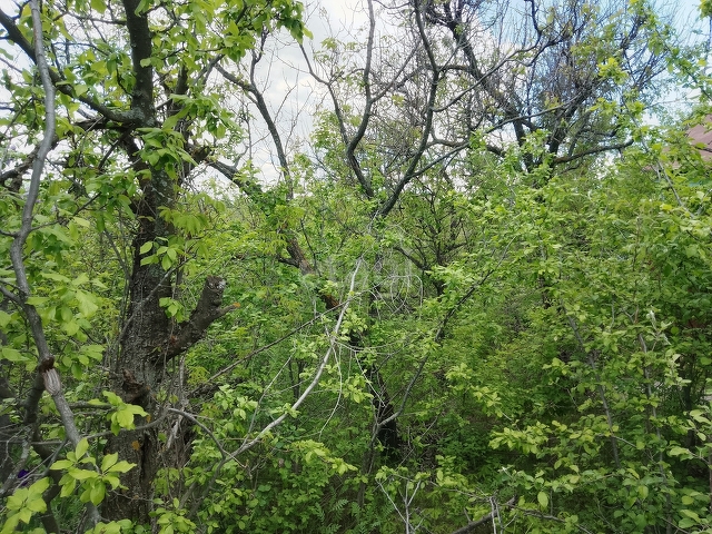 Продажа участка, Саратов, Саратовская область,  Ленинский