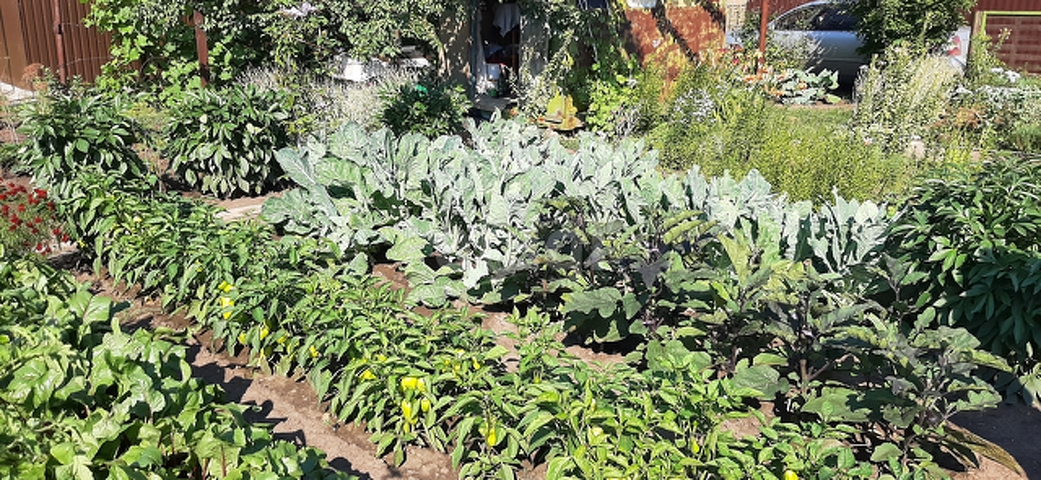 Продажа участка, Саратов, Саратовская область,  