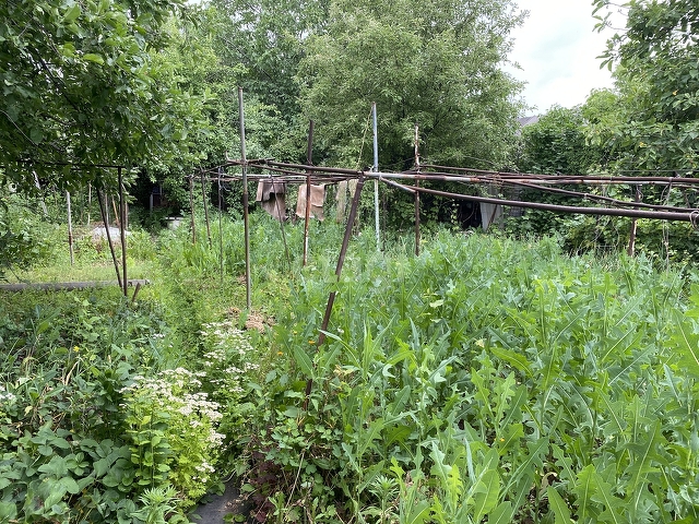 Продажа дачи, 8м <sup>2</sup>, 6 сот., Саратов, Саратовская область,  Саратов