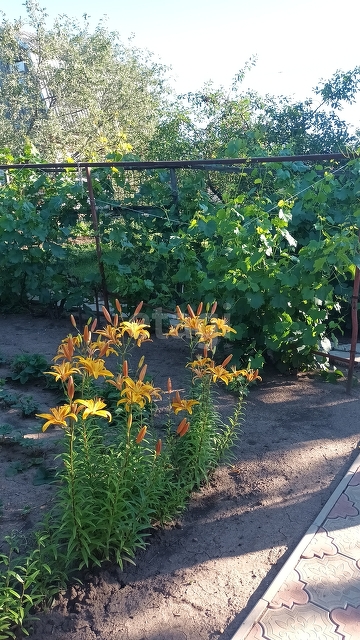 Продажа дачи, 43м <sup>2</sup>, 4 сот., Саратов, Саратовская область,  