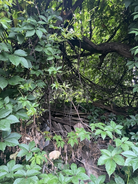 Продажа дома, 26м <sup>2</sup>, 1 сот., Саратов, Саратовская область,  