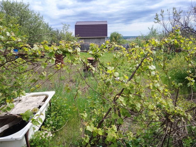 Продажа дачи, 50м <sup>2</sup>, 684 сот., Саратов, Саратовская область,  Саратов