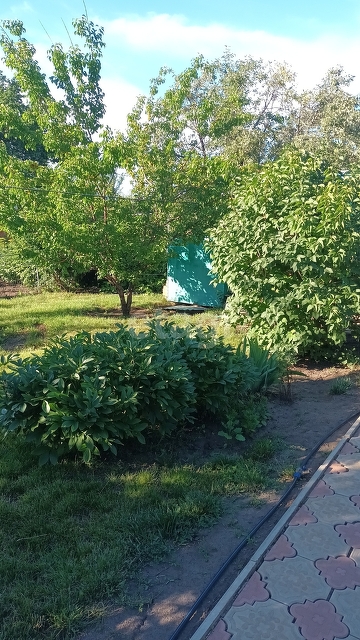 Продажа дачи, 43м <sup>2</sup>, 4 сот., Саратов, Саратовская область,  