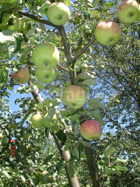 Продажа дома, 144м <sup>2</sup>, 5 сот., Саратов, Саратовская область,  Саратов