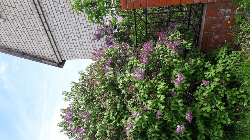 Продажа дома, 75м <sup>2</sup>, 4 сот., Саратов, Саратовская область,  Саратов