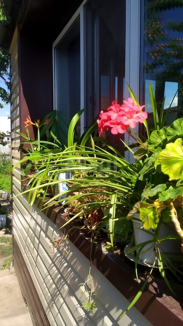 Продажа дома, 70м <sup>2</sup>, 4 сот., Саратов, Саратовская область,  