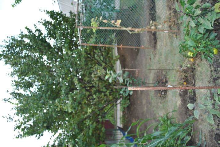 Продажа дачи, 31м <sup>2</sup>, 4 сот., Саратов, Саратовская область,  