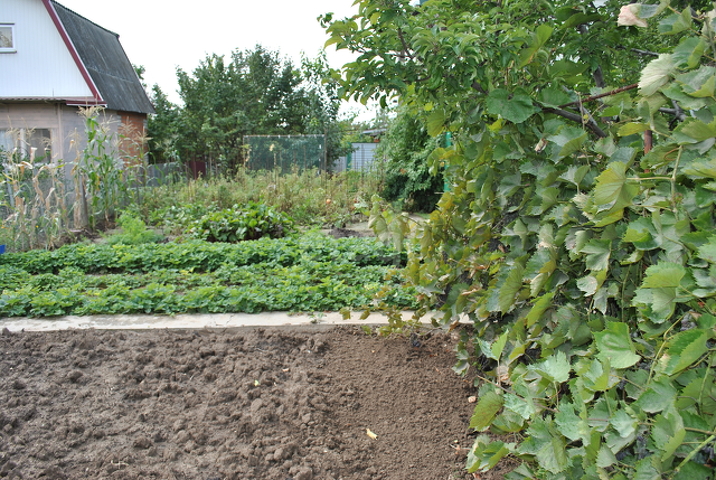 Продажа дачи, 31м <sup>2</sup>, 4 сот., Саратов, Саратовская область,  