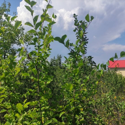 Продажа участка, Саратов, Саратовская область,  Саратов