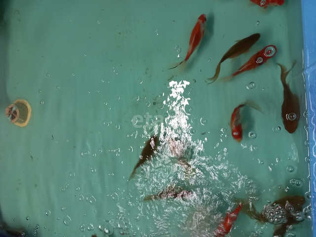 Продажа коммерческой недвижимости, 219м <sup>2</sup>, Саратов, Саратовская область,  Саратов