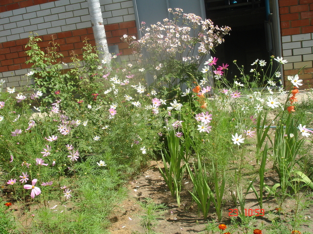 Продажа дома, 144м <sup>2</sup>, 5 сот., Саратов, Саратовская область,  Саратов