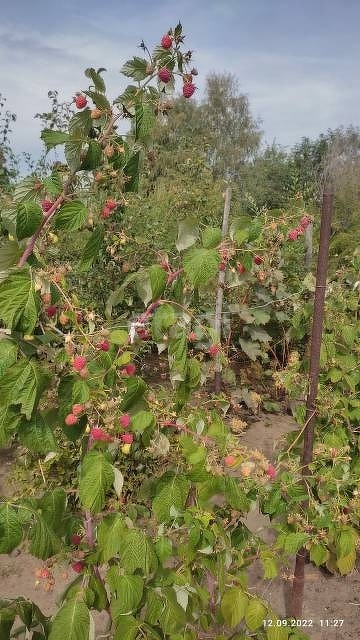 Продажа дома, 68м <sup>2</sup>, 8 сот., Саратов, Саратовская область,  Энгельсский