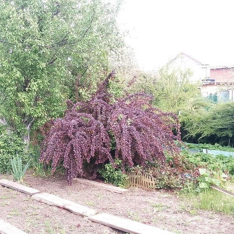 Продажа дачи, 30м <sup>2</sup>, 6 сот., Саратов, Саратовская область,  Энгельс