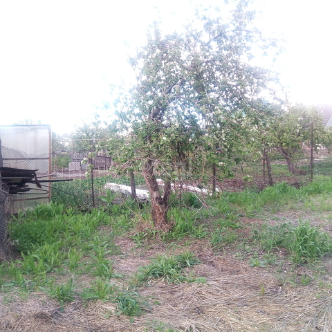 Продажа дома, 46м <sup>2</sup>, 5 сот., Саратов, Саратовская область,  