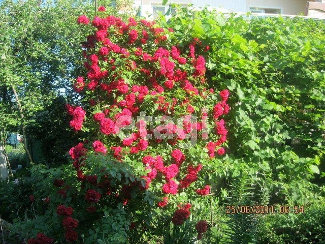 Продажа дачи, 65м <sup>2</sup>, 7 сот., Саратов, Саратовская область,  Саратов