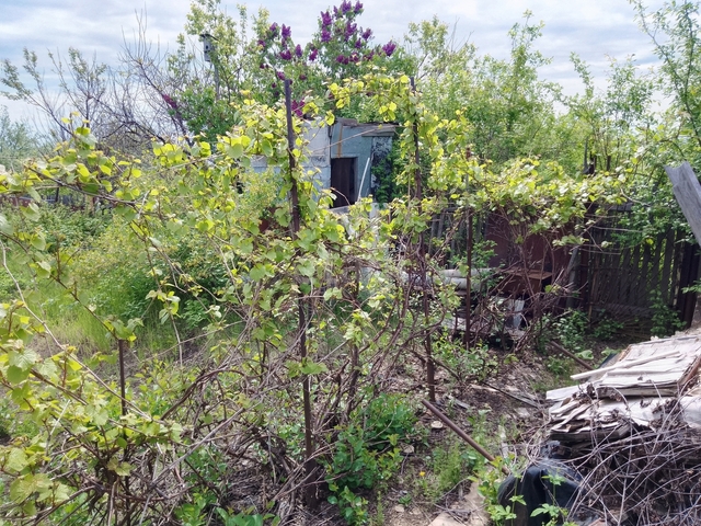 Продажа дачи, 50м <sup>2</sup>, 684 сот., Саратов, Саратовская область,  Саратов