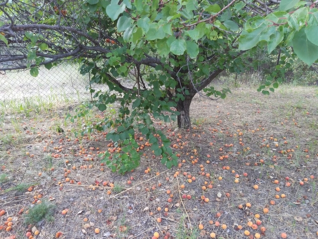 Продажа участка, Саратов, Саратовская область,  Саратов