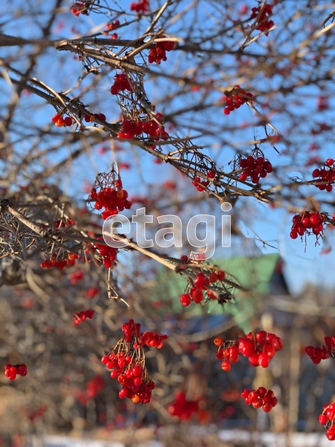 Продажа дачи, 57м <sup>2</sup>, 8 сот., Саратов, Саратовская область,  