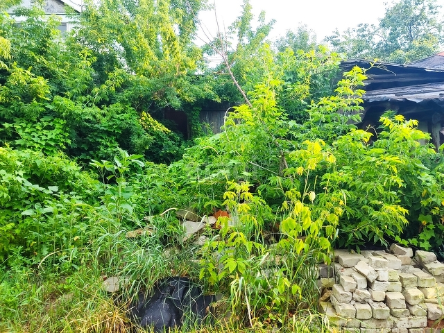 Продажа дома, 41м <sup>2</sup>, 3 сот., Саратов, Саратовская область,  Кировский