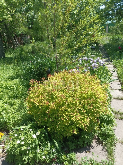 Продажа дачи, 22м <sup>2</sup>, 6 сот., Саратов, Саратовская область,  Заводской