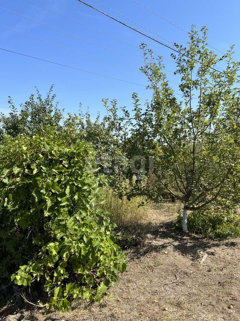 Продажа дачи, 44м <sup>2</sup>, 5 сот., Саратов, Саратовская область,  Саратов