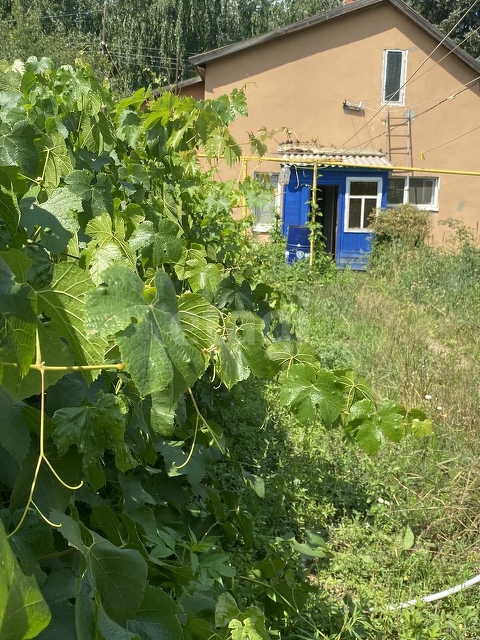 Продажа участка, Саратов, Саратовская область,  