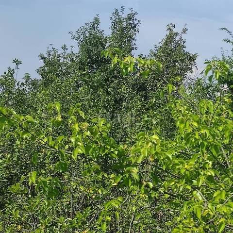 Продажа участка, Саратов, Саратовская область,  Саратов