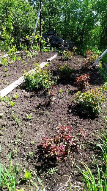 Продажа дачи, 64м <sup>2</sup>, 9 сот., Саратов, Саратовская область,  