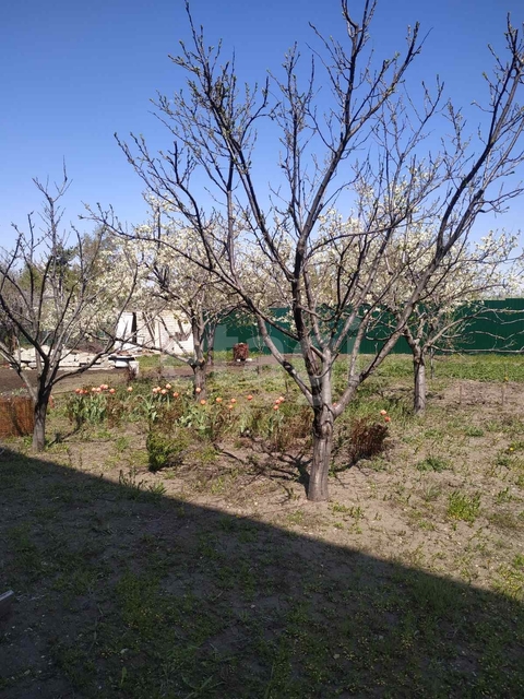 Продажа дачи, 120м <sup>2</sup>, 5 сот., Саратов, Саратовская область,  Саратов