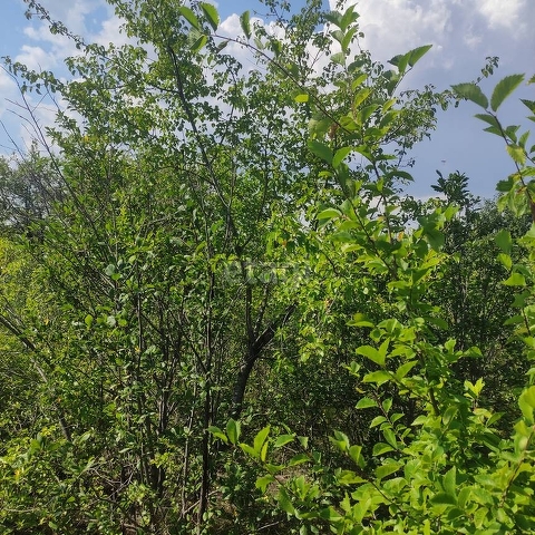 Продажа участка, Саратов, Саратовская область,  Саратов