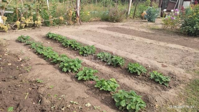 Продажа дома, 68м <sup>2</sup>, 8 сот., Саратов, Саратовская область,  Энгельсский