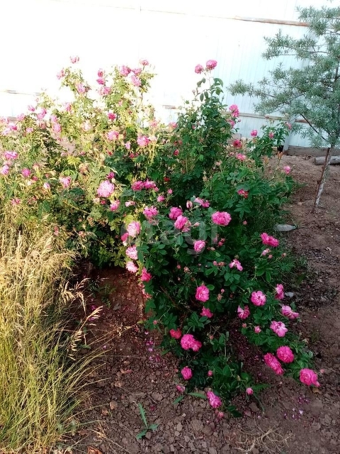 Продажа дома, 52м <sup>2</sup>, 13 сот., Саратов, Саратовская область,  