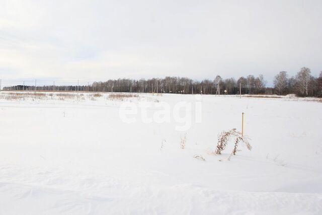 Продажа участка, Заводоуковск, Южный, Петра Федерова