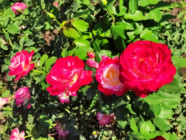 Продажа дома, 96м <sup>2</sup>, 7 сот., Саратов, Саратовская область,  Волжский 