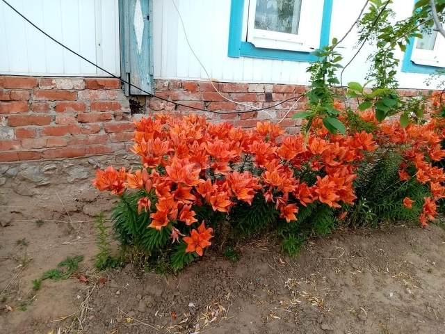 Продажа дома, 52м <sup>2</sup>, 13 сот., Саратов, Саратовская область,  