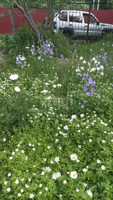 Продажа дачи, 22м <sup>2</sup>, 6 сот., Саратов, Саратовская область,  Заводской