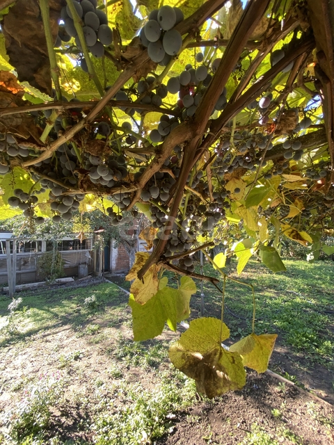 Продажа дома, 48м <sup>2</sup>, 4 сот., Саратов, Саратовская область,  