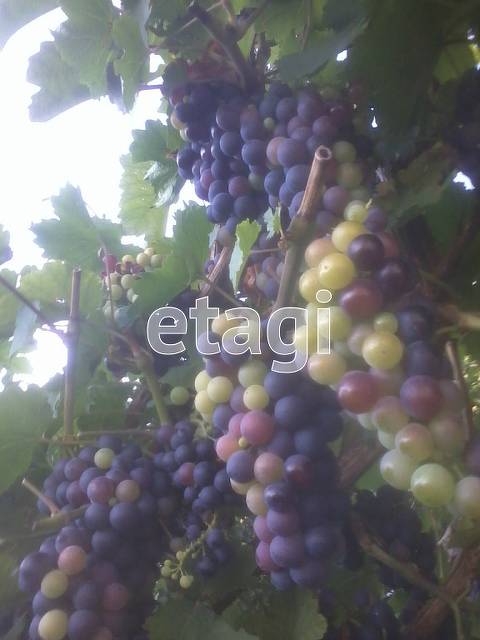 Продажа дома, 29м <sup>2</sup>, 1 сот., Саратов, Саратовская область,  Волжский 