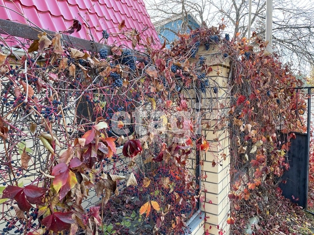 Продажа дачи, 78м <sup>2</sup>, 3 сот., Саратов, Саратовская область,  Саратов