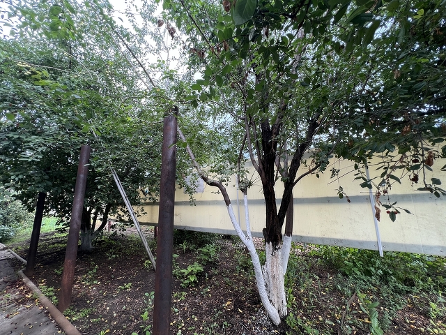 Продажа дома, 77м <sup>2</sup>, 5 сот., Саратов, Саратовская область,  Энгельс