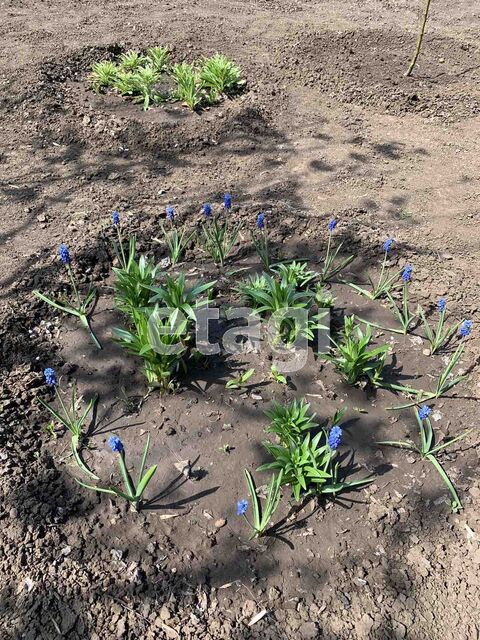 Продажа участка, Саратов, Саратовская область,  