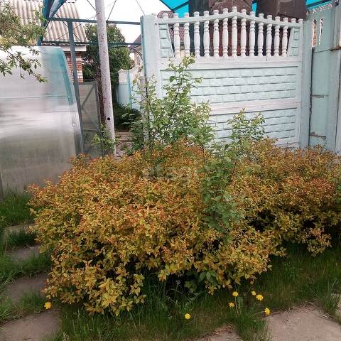 Продажа дачи, 30м <sup>2</sup>, 6 сот., Саратов, Саратовская область,  Энгельс