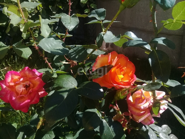 Продажа дачи, 120м <sup>2</sup>, 6 сот., Саратов, Саратовская область,  Саратовский район