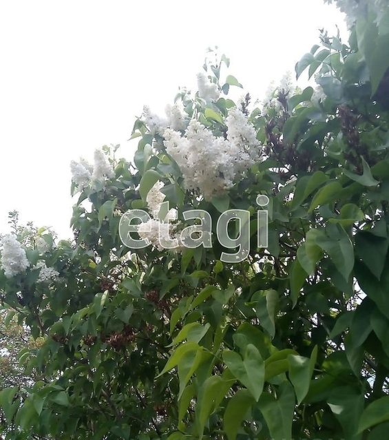 Продажа дачи, 40м <sup>2</sup>, 8 сот., Саратов, Саратовская область,  