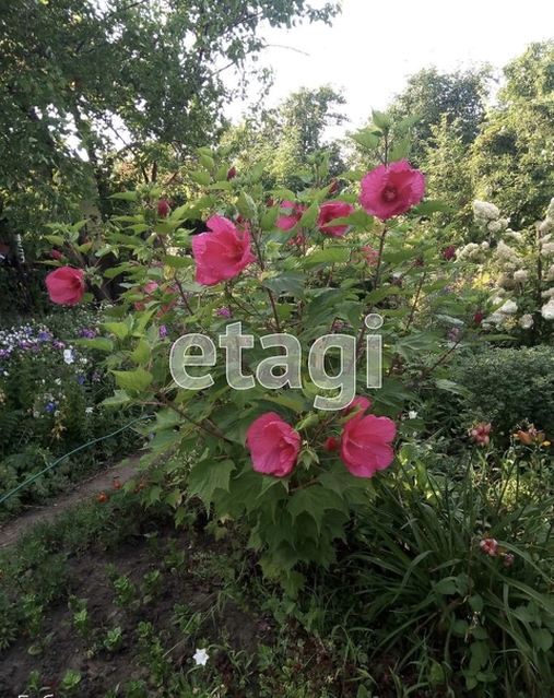 Продажа дачи, 12м <sup>2</sup>, 5 сот., Саратов, Саратовская область,  Энгельс