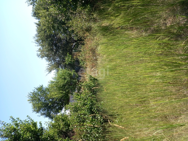 Продажа участка, Саратов, Саратовская область,  Саратов