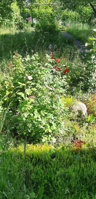 Продажа дома, 122м <sup>2</sup>, 12 сот., Саратов, Саратовская область,  