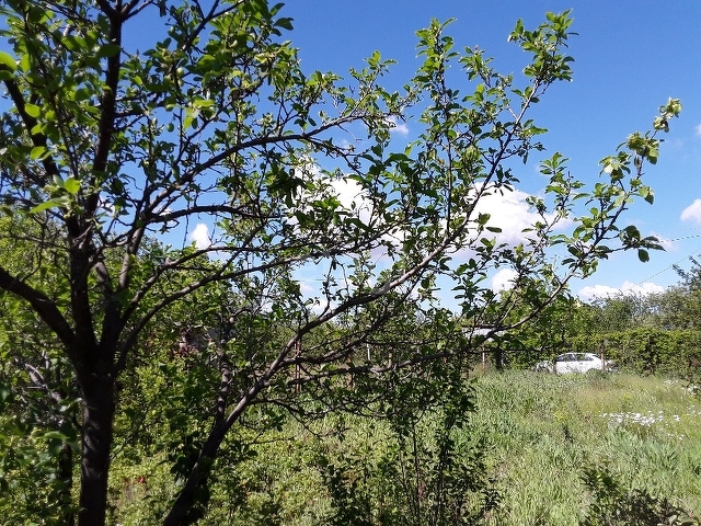 Продажа участка, Саратов, Саратовская область,  Саратов